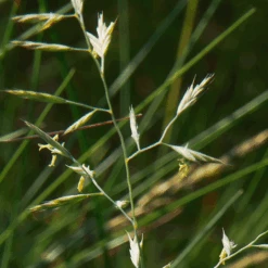 ECOstyle Terra Fertiel 25 Kg