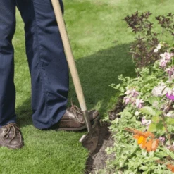 De Wiltfang RHS Graskantensteker -Plantenwinkel image 252