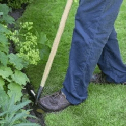 De Wiltfang RHS Graskantensteker -Plantenwinkel image 254