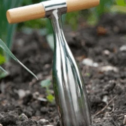 De Wiltfang RHS Pootstok 8 De Wiltfang RHS Pootstok -Plantenwinkel image 311