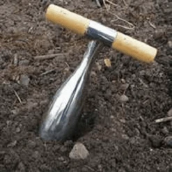 De Wiltfang RHS Pootstok 9 De Wiltfang RHS Pootstok -Plantenwinkel image 312