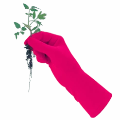 De Wiltfang Foxgloves Original -Plantenwinkel image 320