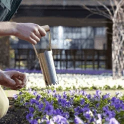 De Wiltfang RHS Bollenpriem, Handmodel -Plantenwinkel image 338